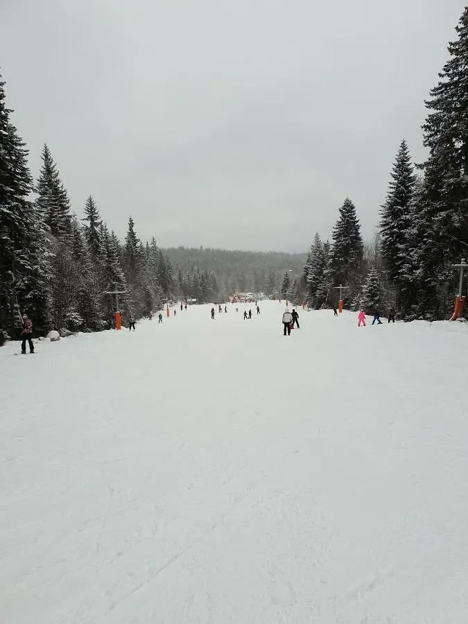 Dream Apart Hotel 207 Bansko Apartmán