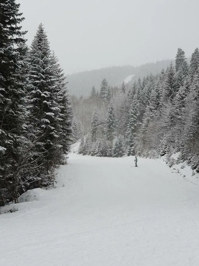 Dream Apart Hotel 207 Bansko